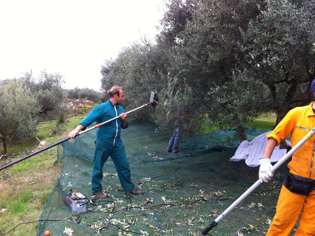 ורונה Agriturismo Casa Rosa מראה חיצוני תמונה