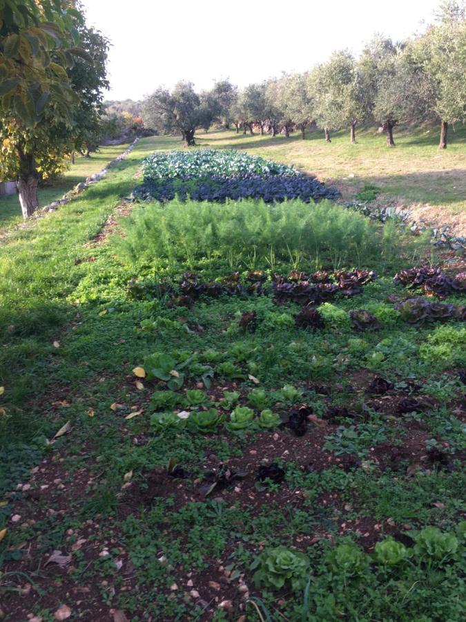 ורונה Agriturismo Casa Rosa מראה חיצוני תמונה
