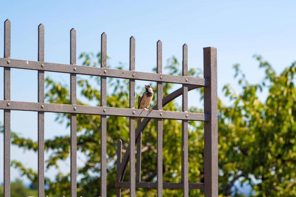 ורונה Agriturismo Casa Rosa מראה חיצוני תמונה