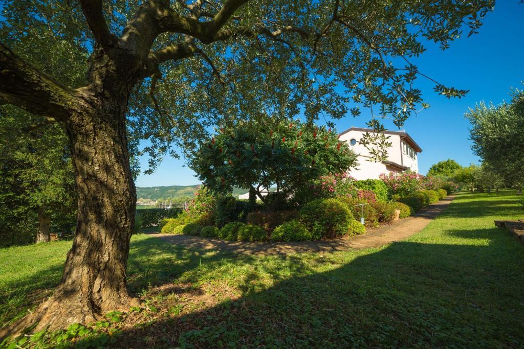 ורונה Agriturismo Casa Rosa מראה חיצוני תמונה